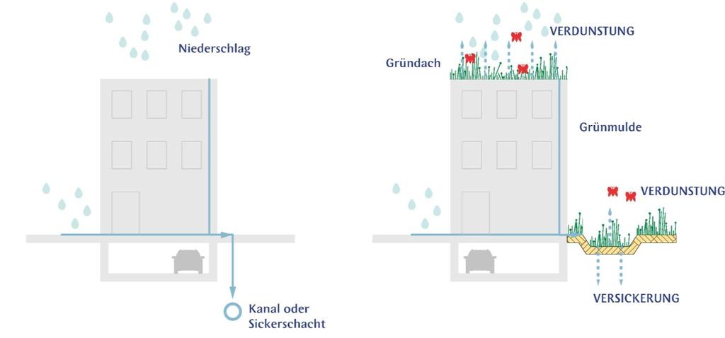 Regenwassermanagement kombiniert Maßnahmen Gründach und