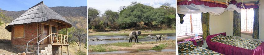 Elefanten, Löwen und Giraffen sowie Kudus, Rappen- und Pferdeantilopen sieht man häufig, mächtige Baobab-Bäume prägen die raue Landschaft.