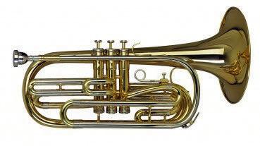 : 22214 626,00 Bb/A- Piccolotrompete 902S Ms- Schallbecher, 4 Edelstahlventile, langes Schallstück, :