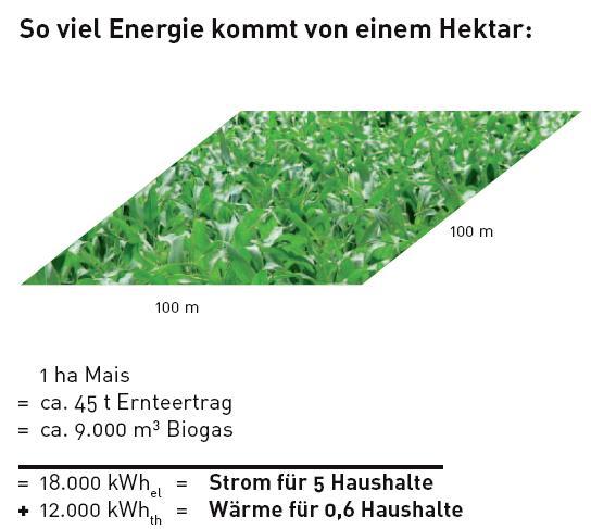 Biomassepotenzial - Flächenverfügbarkeit Fläche möglicher Biogasertrag Hektar in Mrd. Nm³/a in Mrd. kwh/a 2008 500.000 4,5 23,4 2010 650.