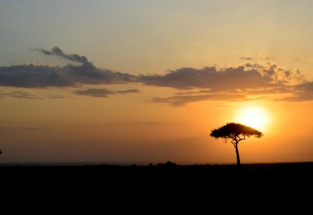 Ngorongoro-Krater. Unterwegs sind Sie in einer kleinen Gruppe mit deutschsprachigem Fahrer und Fensterplatzgarantie im Safarifahrzeug.