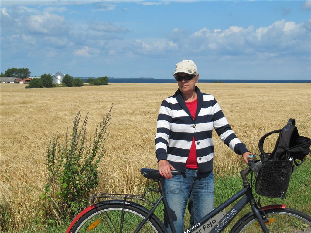 Wir mieten am Hafen Fahrräder und treffen Jörn und Birthe von der SY Karin aus Vordingborg.