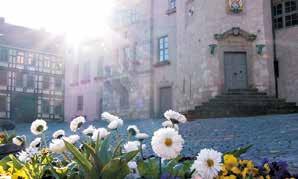 Bei schlechtem Wetter steht der große Saal im Kleinen Schloss zur Verfügung. Entfernung: max.