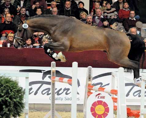 Wurde in Neustadt/Dosse gekört: Chickylucky von Casiro I Foto: Schröder I). Die Batallion-Tochter Innovation von I Love You brachte das M-Springpferd Lequito von Leandro.