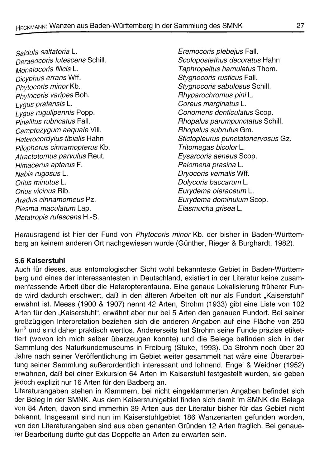 Heckmann: Wanzen aus Baden-Württemberg in der Sammlung des SMNK 27 Saldula sanatoria L. Deraeocoris lutescens Schill. Monalocoris filicis L. Dicyphus errans Wff. phytocoris minor Kb.