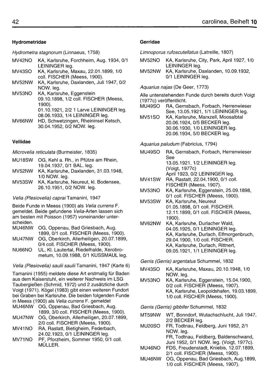 42 carolinea, Beiheft 10 Hydrometridae Hydrom etra stagnorum (Linnaeus, 1758) MV42NO KA, Karlsruhe, Forchheim, Aug. 1934, 0/1 LEININGER MV43SO KA, Karlsruhe, Maxau, 22.01.1899, 1/0 coli.