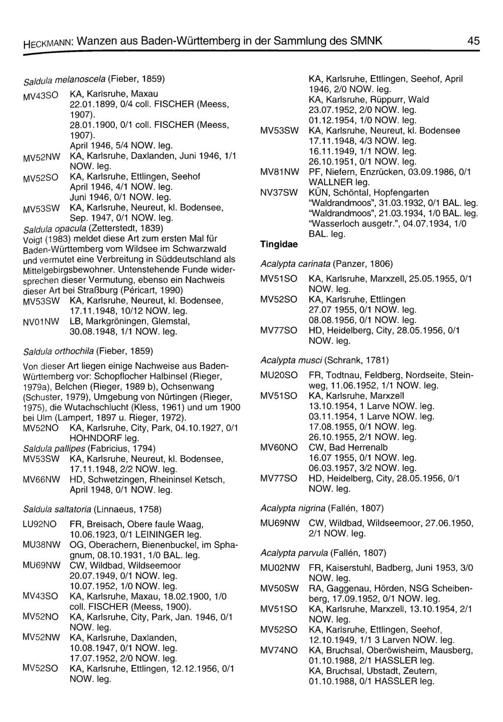Heckmann: Wanzen aus Baden-Württemberg in der Sammlung des SMNK 45 Saldula m elanoscela (Fieber, 1859) MV4 3 SO KA, Karlsruhe, Maxau 22.01.1899, 0/4 coli. FISCHER (Meess, 1907). 28.01.1900, 0/1 coli.