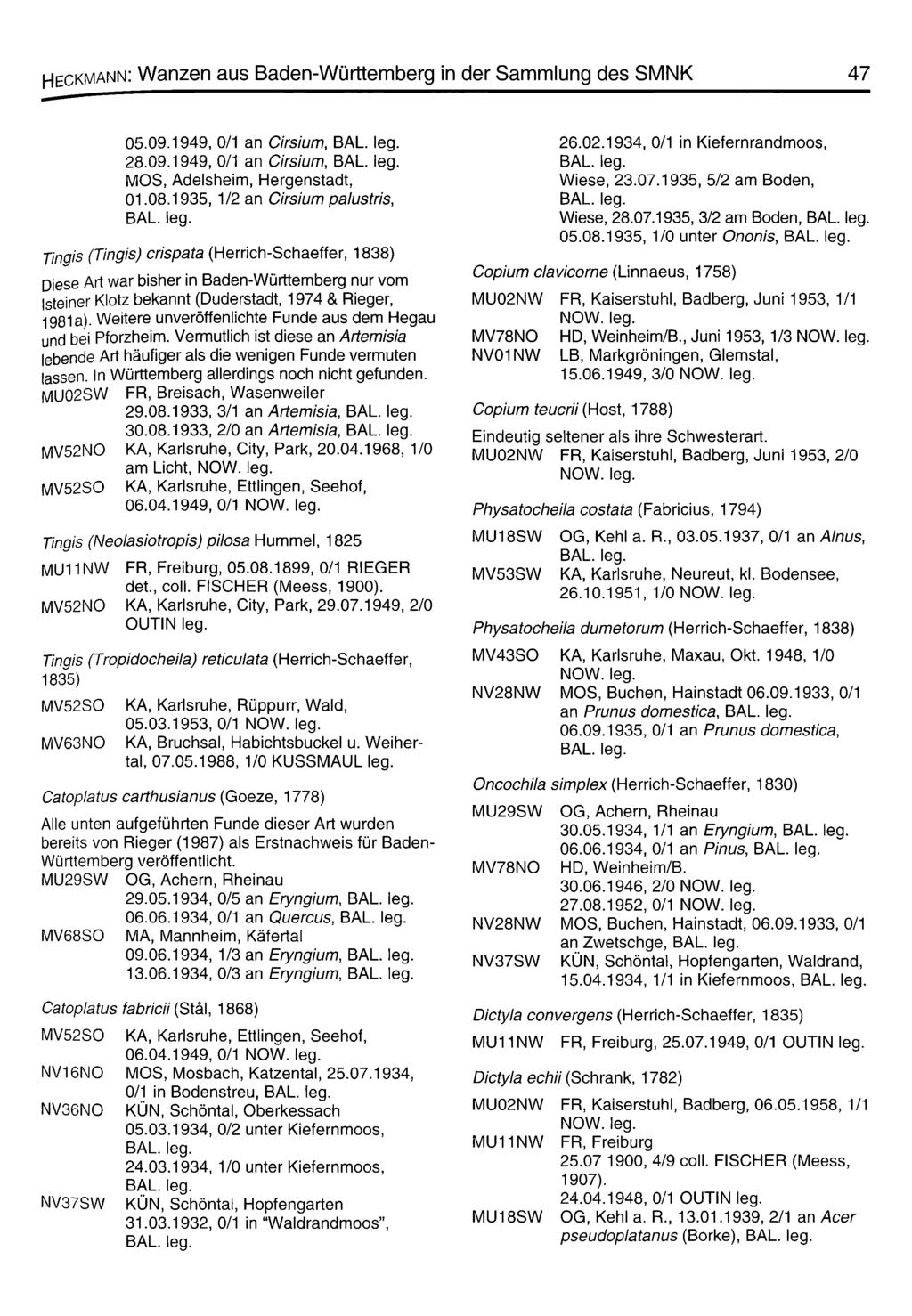 Heckmann: Wanzen aus Baden-Württemberg in der Sammlung des SMNK 47 05.09.1949, 0/1 an Cirsium, BAL. 28.09.1949, 0/1 an Cirsium, BAL. MOS, Adelsheim, Hergenstadt, 01.08.