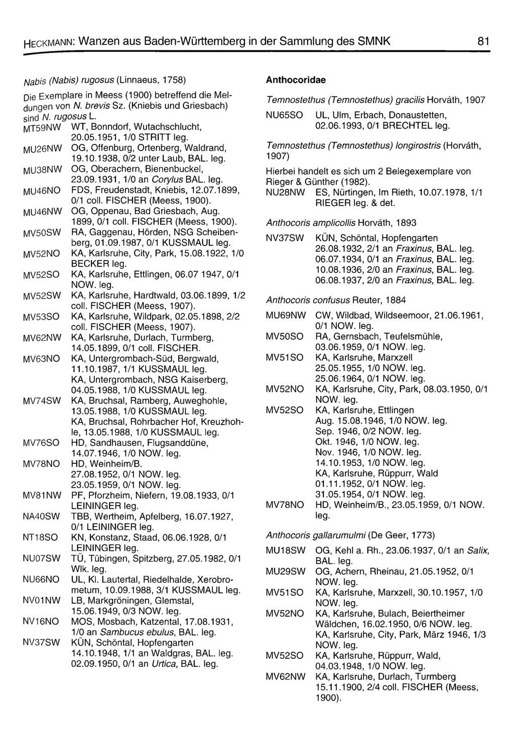Heckmann: Wanzen aus Baden-Württemberg in der Sammlung des SMNK 81 Nabis (Nabis) rugosus (Linnaeus, 1758) Die Exemplare in Meess (1900) betreffend die Meldungen von N. brevis Sz.