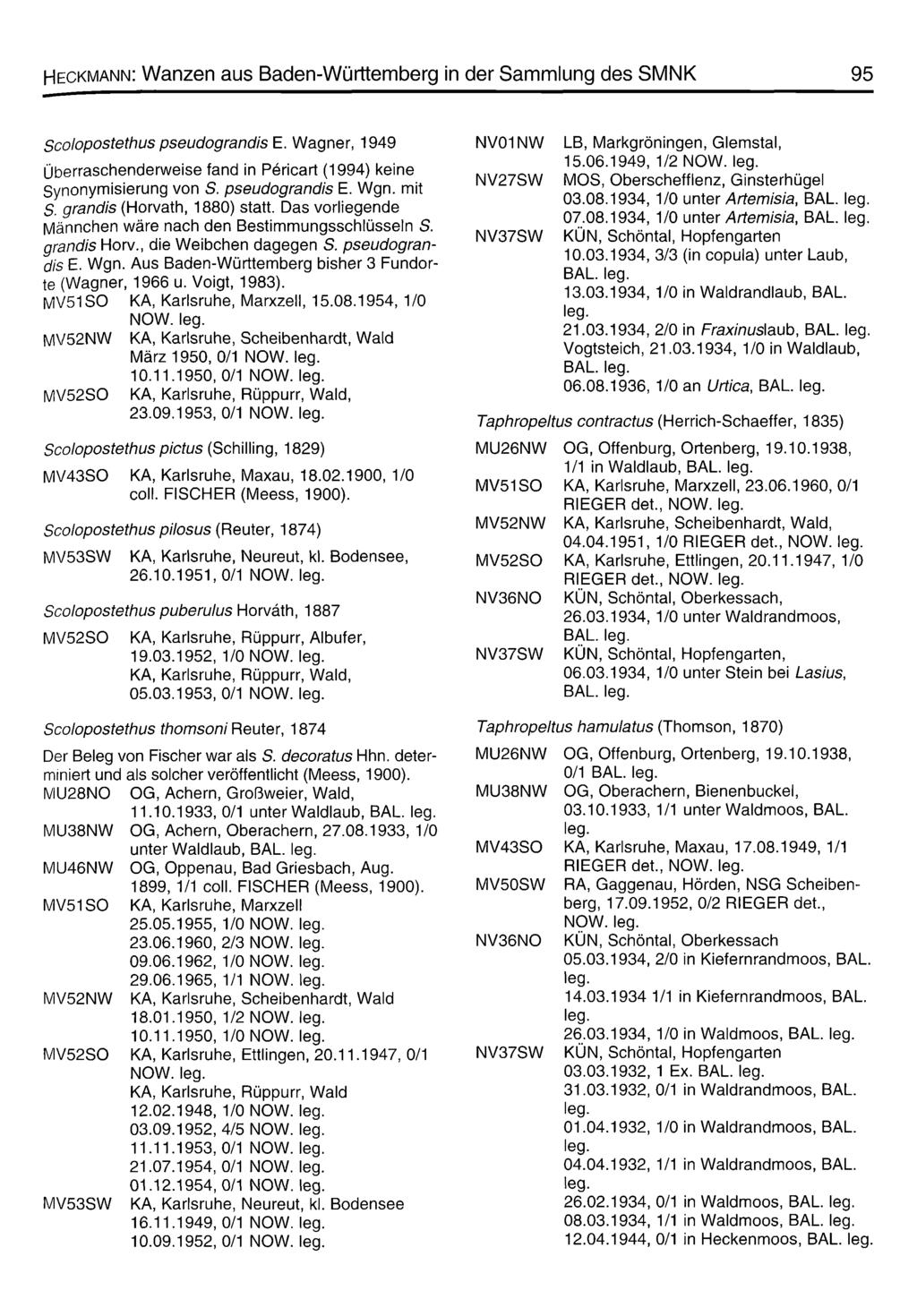 Heckmann: Wanzen aus Baden-Württemberg in der Sammlung des SMNK 95 Scolopostethus pseudograndis E. Wagner, 1949 Überraschenderweise fand in Pericart (1994) keine Synonymisierung von S.