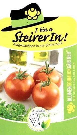 Runde Tomate "Previa" Widerstandsfähige, kräftige Pflanze mit gleichmäßigen Früchten.