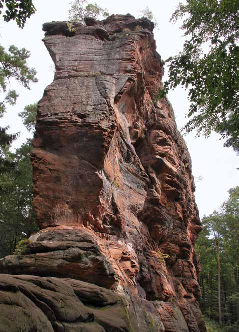 Geologie zum Anfassen: Die Sieben Felsentürme Der Geo-Pfad Fladensteine Rund um das mächtige Felsmassiv der Fladensteine mit seinen sieben Felstürmen führt der Geo-Pfad Fladensteine in die Zeit vor