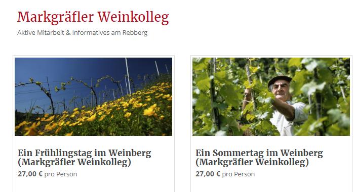 Produktbereich 2: Kaiserstuhl Mithilfe bei der Weinlese ein integratives Erfahrungsangebot und gleichzeitig Begegnung mit den Menschen.