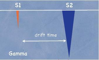 Driftzeit (z) WIMP Driftzeit Verhältnis S2/S1 zur
