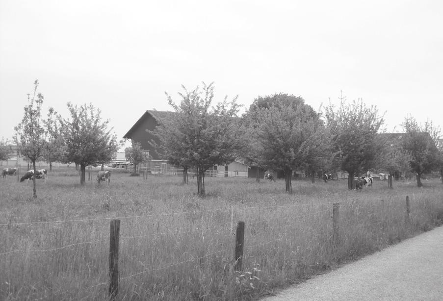Gemeinderat Landschaftsqualitätsprojekt Fürstenland-Bodensee Landwirte fördern das Landschaftsbild Die Landwirtschaft prägt das Gebiet ausserhalb der Siedlungen.
