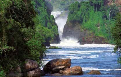 Unterwegs besuchen Sie das Ziwa Nashorn- Schutzgebiet. Am Nachmittag unternehmen Sie eine Fahrt zu den legendären Murchison-Wasserfällen, die dem Nationalpark ihren Namen geben.