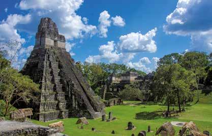 Von der Tempelpyramide 216 hat man einen faszinierenden Blick über den Tiefland-Dschungel. Nach dem Rundgang Grenzübertritt nach Belize und Weiterfahrt bis San Ignacio.