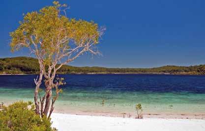 Daintree Nationalpark Fraser Island OZEANIEN vor Ort), bevor es weiter nach Rockhampton geht. Übernachtung: Denison Boutique Hotel 9 Rockhampton Mackay (ca.