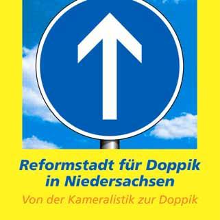 Doppik-Projekt: Konzept, Strategie