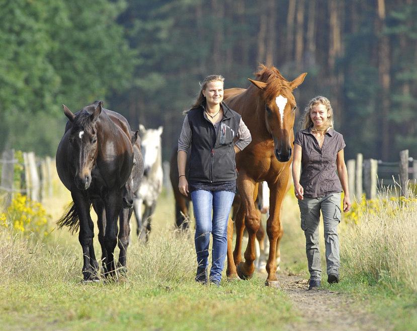 Unsere eigene Ausstrahlung beeinlusst wesentlich, wie Pferde auf uns reagieren. ist nötig für ein gesundes Selbstvertrauen, für Gelassenheit und innere Ruhe.