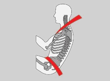 Sicherheitsgurte 13 Gurtbandverlauf Das Schultergurtband muss ungefähr über die Schultermitte keinesfalls über den Hals verlaufen und fest am Oberkörper anliegen.