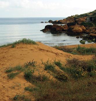 Figure 3: Blue clay taluses in north-western Malta - typical habitat for