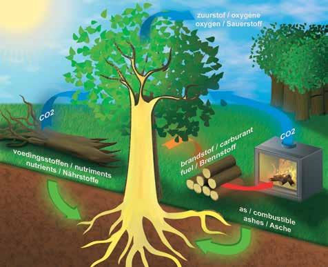 NL FR EN DU Milieu Environnement Environment Umwelt Als hout op de juiste manier wordt verbrand, belast u de natuur niet meer dan wanneer een boom op een natuurlijke wijze zou afsterven.