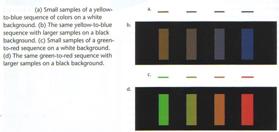 2.3 Farbe Farbwahrnehmung Wir können nur Farbe auf größeren Feldern unterscheiden, speziell beim Übergang