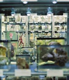 Vom Anatomischen Museum gelangt man in den Seziersaal, die Präparate- Sammlung Virchows, die Labore der medizinischen Forschung und wieder zurück ins Leben ans Bett des Kranken.