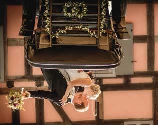Hochzeitsbegleitungen & Portraits Extravagante Hochzeitsfotografie STANDESAMTLICHE oder KIRCHLICHE BEGLEITUNG...ab 299 Hochzeitsbegleitung mit Gruppenaufnahmen (max. 45 Min.