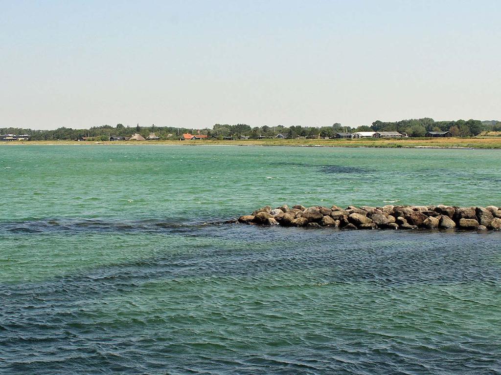 Die gelben Rapsfelder sieht man meilenweit über das blau-grüne Wasser. Der Frühling in Dänemark ist eine besondere Jahreszeit, in der die Natur leuchtet.