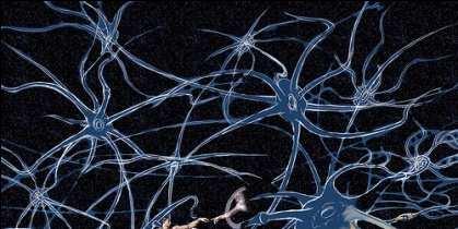 Was ist so interessant an neuen Neuronen?