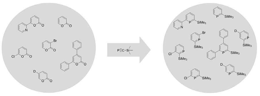 Zudem sollten halogensubstituierte TMS-Phosphininderivate dargestellt werden, die für anschließende C C-Kreuzkupplungsreaktionen eingesetzt werden sollten, um so funktionalisierte