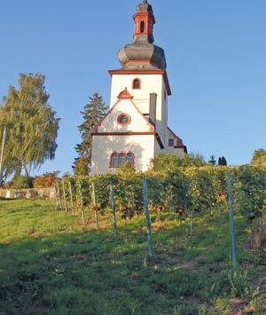 bei einer kulinarischen Weinprobe mit der Region Rheinhessen vertraut zu machen?
