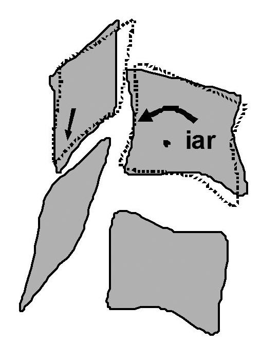 Pearson et al, Spine, 2004