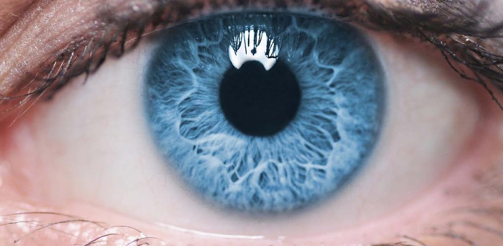 Selbst minimale Bewegungen des Auges werden dabei sofort erkannt und berücksichtigt. 2. Fixierung. Der Chirurg macht Ihr Auge durch Tropfen schmerzunempfindlich.