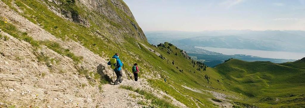 September 2018 bfu-sicherheitstipp «Bergwandern» Passen Sie auf beim Abstieg. Durchatmen, Weitsicht, Natur pur die Bergwelt hat ihren ganz besonderen Reiz.