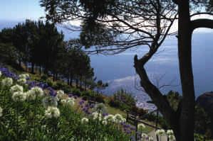 Von dort geht es aufwärts über den Pass Encumeada (1007m), wo man die Nord- und die Südküste gleichzeitig erblickt. Anschließend Rückkehr nach Funchal.