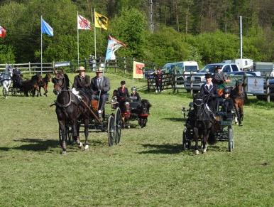 Veranstaltungen Fahrturnier Winterthur 28./29. April 2018 Raiffeisen Pferdesport-Arena Auch dieses Jahr werden wir wieder zwei Tage schönen Fahrsport erleben.