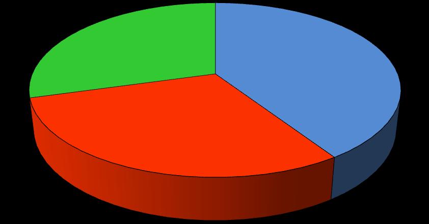 Abb. 1: Anzahl der auswertbaren Fragebögen in den drei Klassenstufen Klassenstufe 5: 115 Fragebögen 29 % Klassenstufe 3: 119 Fragebögen 3 % Klassenstufe 1/2: 161 Fragebögen 41 % Von den 161 Befragten