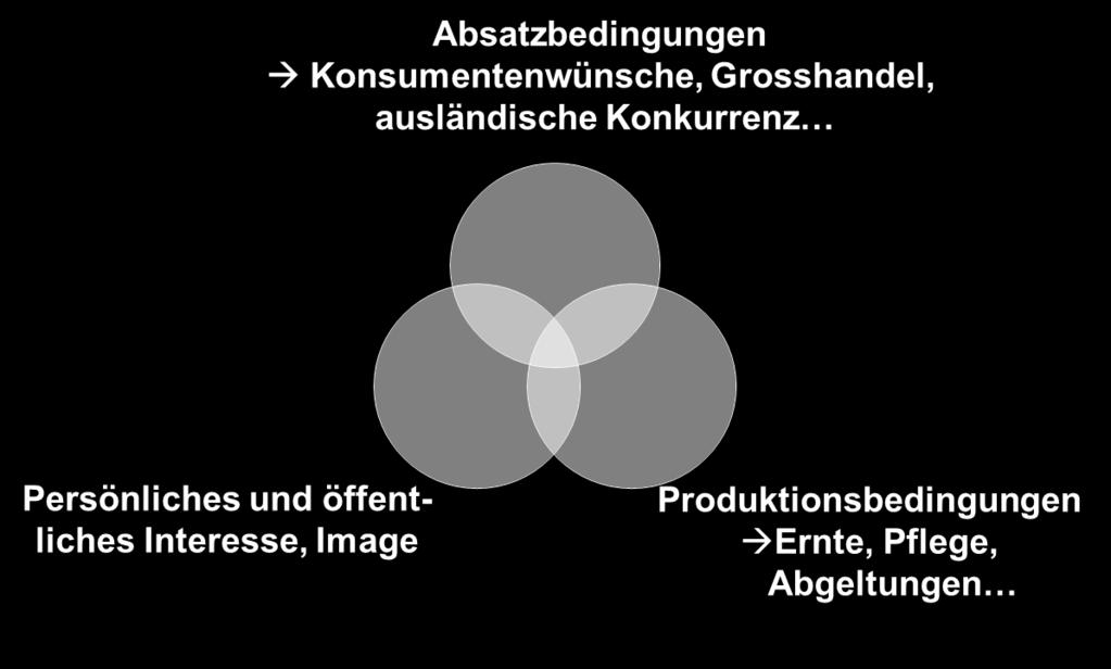 Eine Hauptschwierigkeit aber schien die Verzettelung, das Fehlen einer konzentrierten, zielgerichteten Aktion mit möglichst vielen verschiedenen Akteuren, die zu sichtbaren Ergebnissen in der