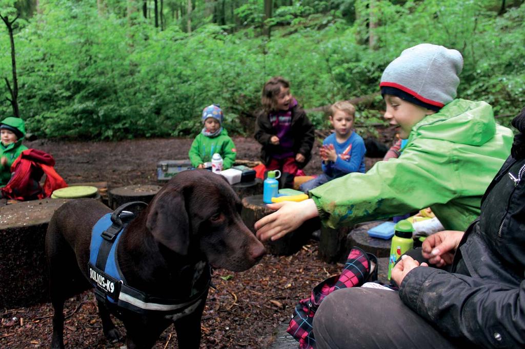 Im Wald mit Lucky und Luke Hunde in Kindergärten sind beliebt. Sie sind kuschelig, können an der Leine geführt und versorgt werden.