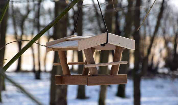 23 600428 Vogelhausdisplay mit folgender Bestückung: