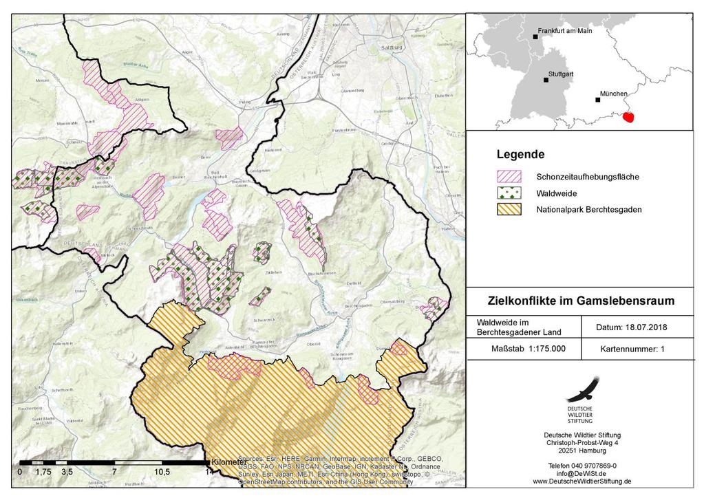 Beispiel 7: Waldweide im Berchtesgadener Land Waldweide versus Schutzwald Berchtesgadener Alpen; Landkreis Berchtesgadener Land überwiegend Staatswald (BaySF Berchtesgaden) In den bayerischen Alpen