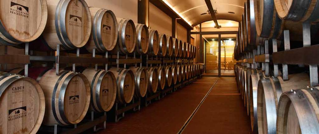 10 11 Die Basis Tagen im Weinbaubetrieb Konkret soll ein landesweites Produktsegment zum Thema Tagen im Weinbaubetrieb entwickelt werden. Viele Weinbaubetriebe bieten bereits Tagungsmöglichkeiten an.