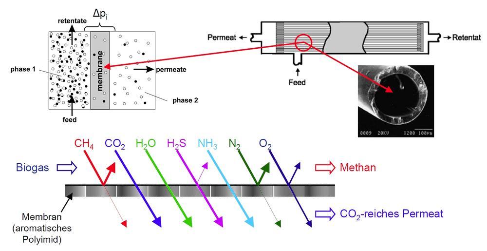 METHODIK BIOMETHANAUFREINIGUNG Untersuchung zu den einzelnen Verfahrensschritten: