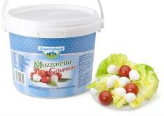3180 Gorgonzola Erborinato 48% Fett i.tr.