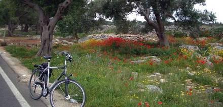 Der Reiseverlauf 1. Tag: Individuelle Anreise nach Alberobello Individuelle Anreise nach Alberobello. Alberobello ist durch seine Kegelbauten (Trulli) berühmt. Der Ort zählt zum UNESCO-Weltkulturerbe.