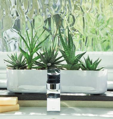Links: Wegen ihrer Heilwirkung ist die Aloe vera (Echte Aloe) im Badezimmer genau am richtigen Platz. Unten links: Wählen Sie für das Bad Pflanzen, die sich bei hoher Luftfeuchtigkeit wohlfühlen.