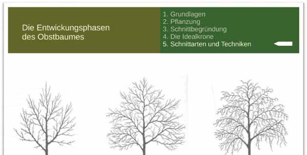 Workshop 2 Obstbaumpraxis: Auswählen. Pflanzen. Schneiden. Volker Ciesla + Sebastian Dorn fingen ganz unten an, im Boden.